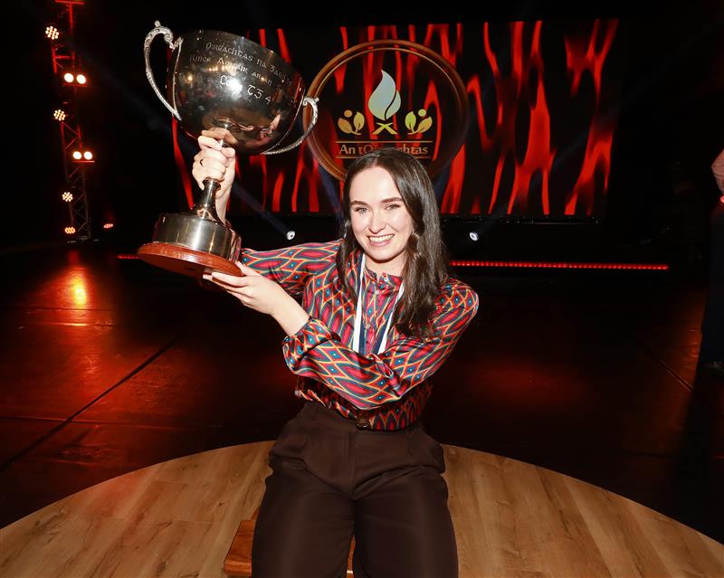 Oireachtas um Nollag 1